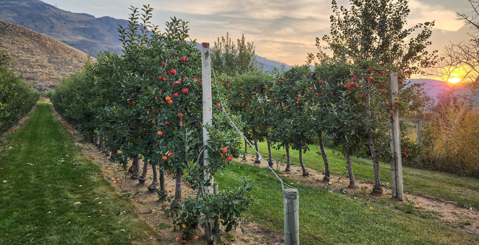 85 acres of... 85 Acres of Homegrown Goodness