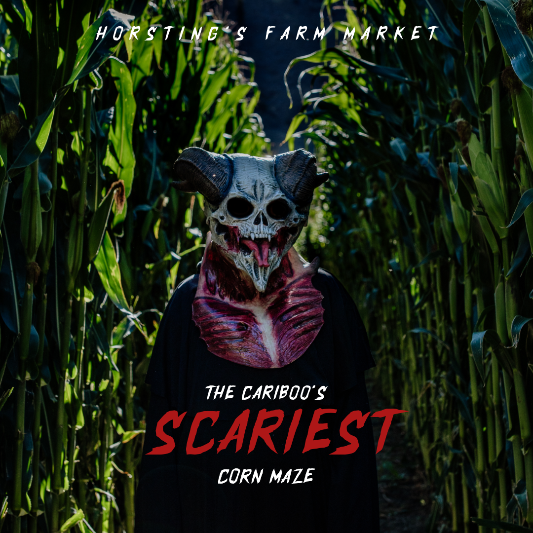 Field of Screams Field of Screams