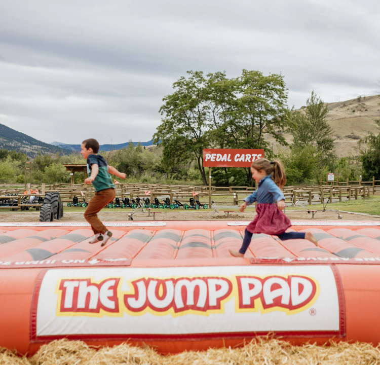 The Adventure Field The Adventure Field